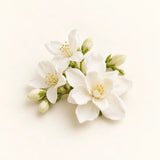 Flores Brancas