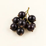 Cassis